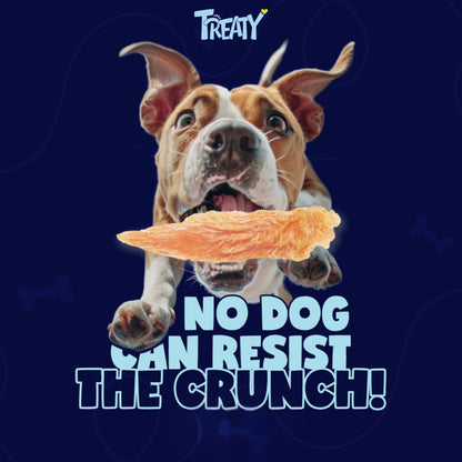 Crispy Chicken Jerky